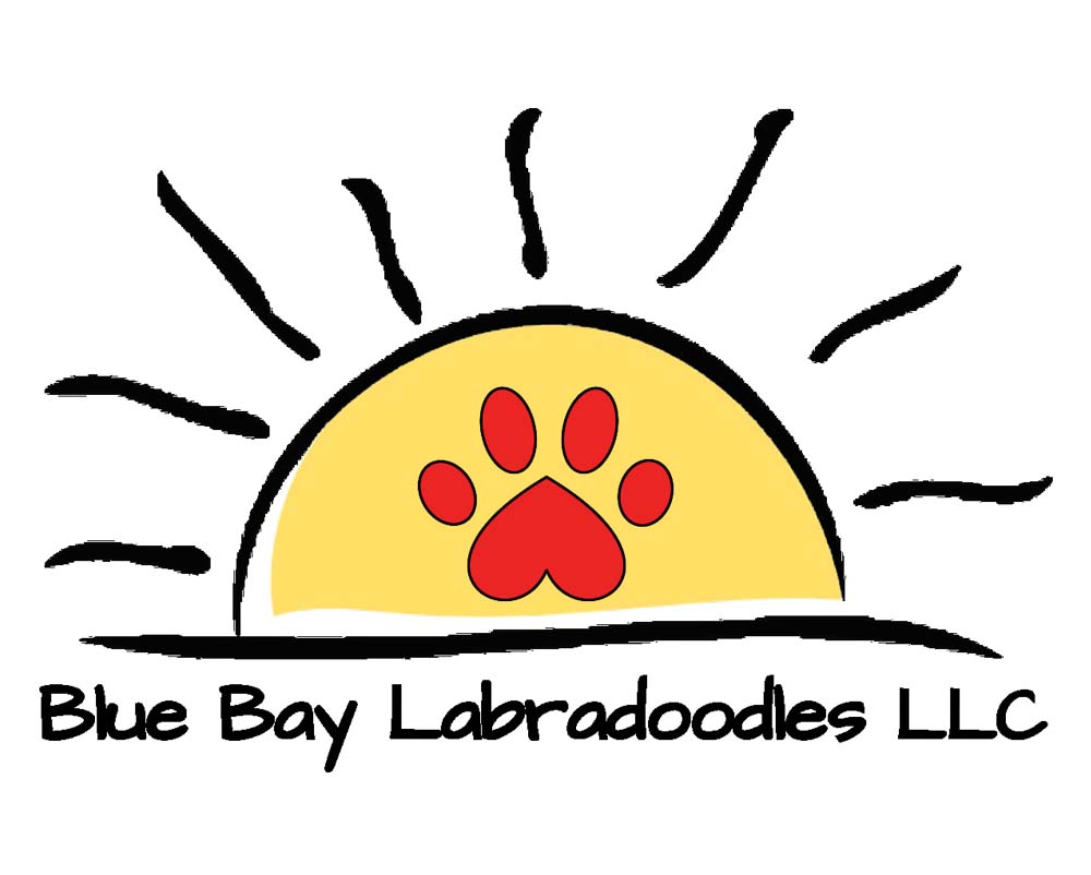 Blue Bay Labradoodles Logo