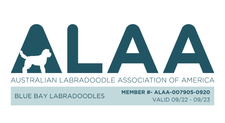 ALAA Membership 2022-2023