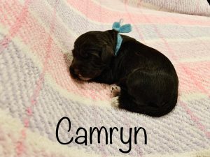 camryn-1 week