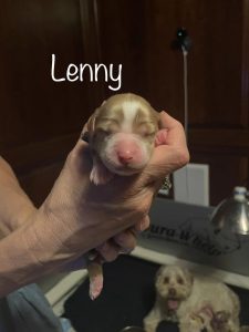 lenny