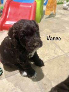 vance