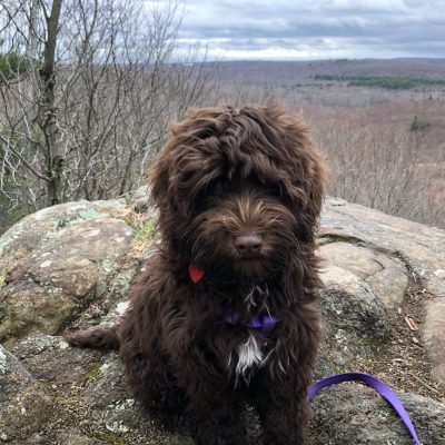 macey rocks macey rocks