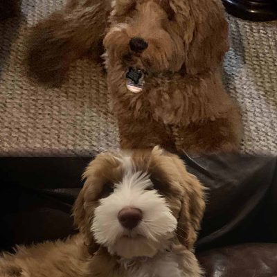 dawson & finn